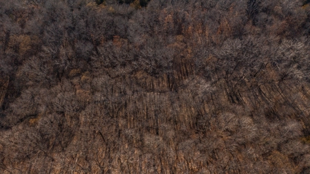Recreational Land with Hunting & Development Potential - image 22
