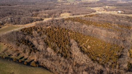 Recreational Land with Hunting & Development Potential - image 7