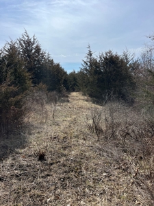 Recreational Land with Hunting & Development Potential - image 28