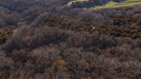 Recreational Land with Hunting & Development Potential - image 21