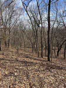 Recreational Land with Hunting & Development Potential - image 27