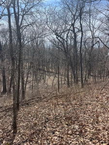 Recreational Land with Hunting & Development Potential - image 37