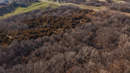 Recreational Land with Hunting & Development Potential - image 11