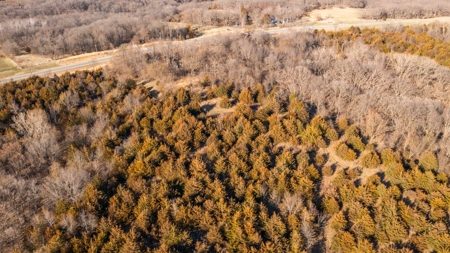 Recreational Land with Hunting & Development Potential - image 9