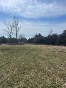 Recreational Land with Hunting & Development Potential - image 43