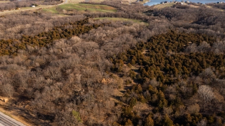 Recreational Land with Hunting & Development Potential - image 10