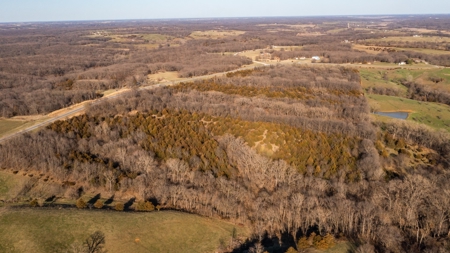 Recreational Land with Hunting & Development Potential - image 6