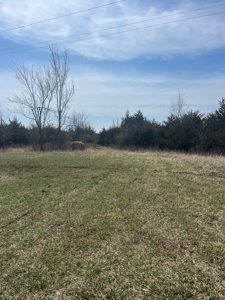 Recreational Land with Hunting & Development Potential - image 44