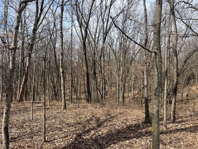 Recreational Land with Hunting & Development Potential - image 36