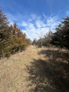 Recreational Land with Hunting & Development Potential - image 25