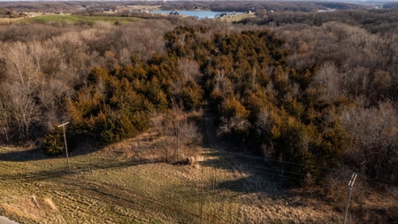 Recreational Land with Hunting & Development Potential - image 15