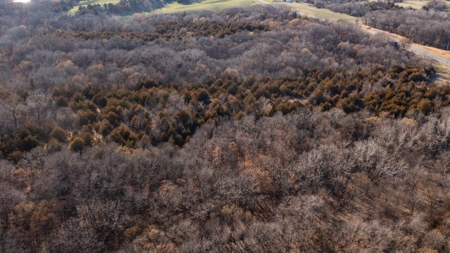 Recreational Land with Hunting & Development Potential - image 17