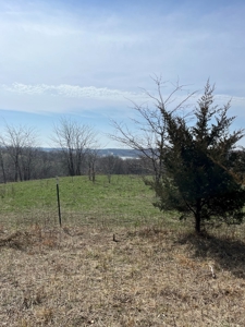 Recreational Land with Hunting & Development Potential - image 29