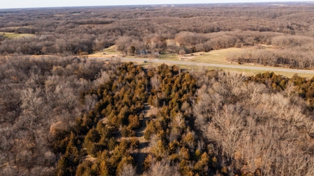 Recreational Land with Hunting & Development Potential - image 20