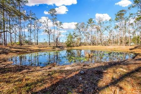 Home For Sale On The Suwannee River!!! - image 6