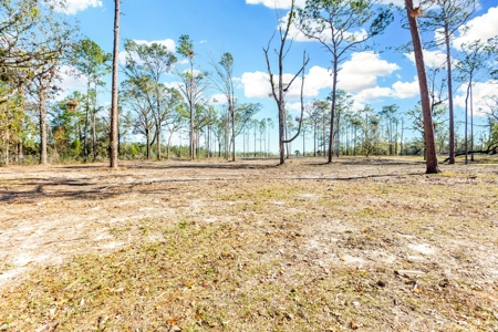 Home For Sale On The Suwannee River!!! - image 4