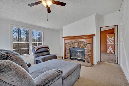 Country Home for Sale in Lewis County, Tennessee - image 22