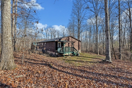 Country Home for Sale in Lewis County, Tennessee - image 15