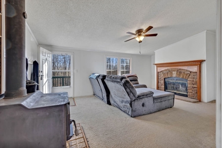 Country Home for Sale in Lewis County, Tennessee - image 23