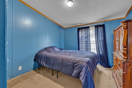 Country Home for Sale in Lewis County, Tennessee - image 43