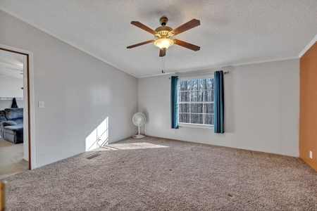 Country Home for Sale in Lewis County, Tennessee - image 40