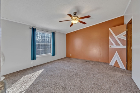 Country Home for Sale in Lewis County, Tennessee - image 34