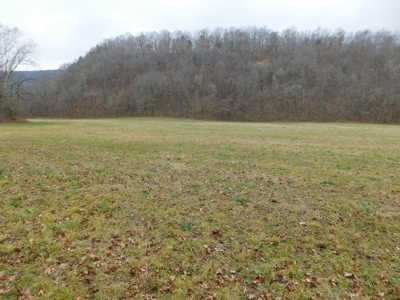 Brasel Creek Runs Through Farm Land For Sale in Newton Count - image 11