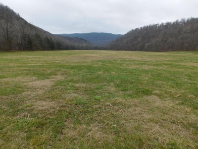 Brasel Creek Runs Through Farm Land For Sale in Newton Count - image 3