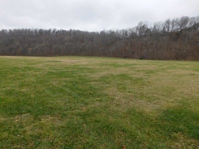 Brasel Creek Runs Through Farm Land For Sale in Newton Count - image 21
