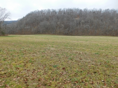 Brasel Creek Runs Through Farm Land For Sale in Newton Count - image 29