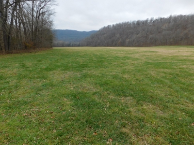 Brasel Creek Runs Through Farm Land For Sale in Newton Count - image 20