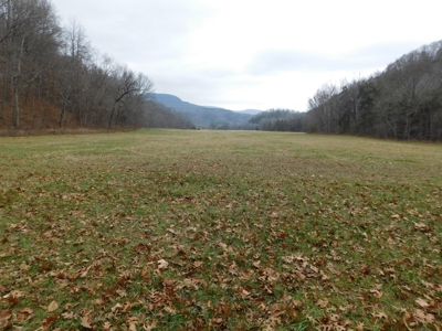 Brasel Creek Runs Through Farm Land For Sale in Newton Count - image 27
