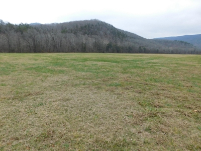 Brasel Creek Runs Through Farm Land For Sale in Newton Count - image 7