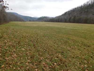 Brasel Creek Runs Through Farm Land For Sale in Newton Count - image 2