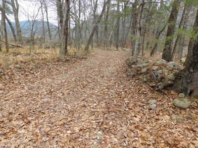 Brasel Creek Runs Through Farm Land For Sale in Newton Count - image 18