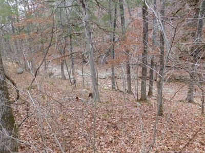 Brasel Creek Runs Through Farm Land For Sale in Newton Count - image 30
