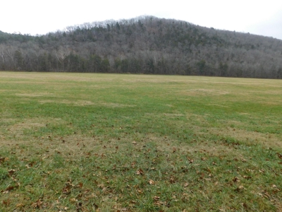 Brasel Creek Runs Through Farm Land For Sale in Newton Count - image 8