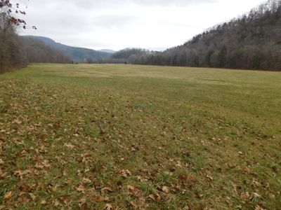 Brasel Creek Runs Through Farm Land For Sale in Newton Count - image 26
