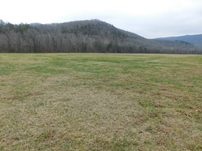 Brasel Creek Runs Through Farm Land For Sale in Newton Count - image 23