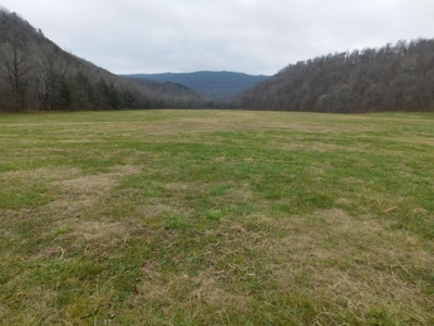 Brasel Creek Runs Through Farm Land For Sale in Newton Count - image 22