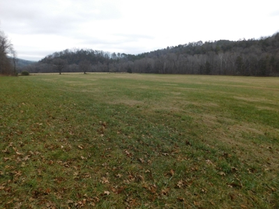 Brasel Creek Runs Through Farm Land For Sale in Newton Count - image 25