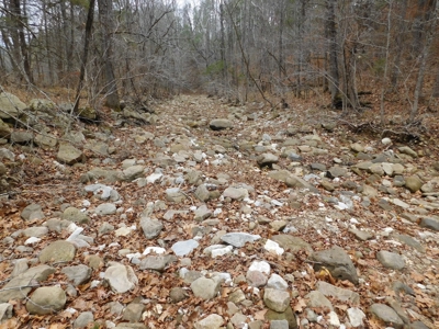 Brasel Creek Runs Through Farm Land For Sale in Newton Count - image 19