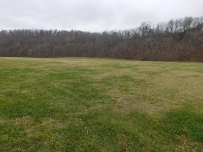 Brasel Creek Runs Through Farm Land For Sale in Newton Count - image 6