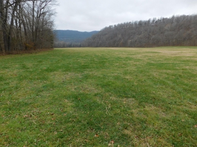 Brasel Creek Runs Through Farm Land For Sale in Newton Count - image 5