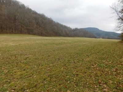 Brasel Creek Runs Through Farm Land For Sale in Newton Count - image 10