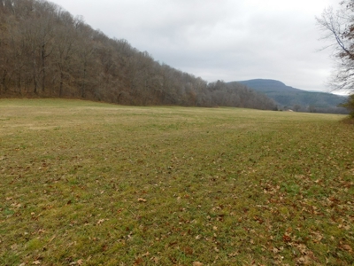 Brasel Creek Runs Through Farm Land For Sale in Newton Count - image 28