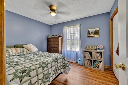 Country Home for Sale in Lewis County, Tennessee - image 23