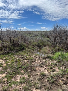 Land For Sale in Dove Creek, CO! - image 17