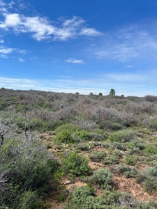 Land For Sale in Dove Creek, CO! - image 6