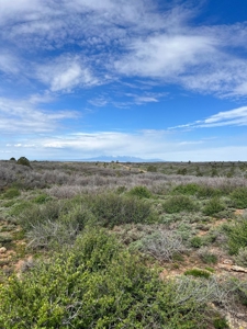 Land For Sale in Dove Creek, CO! - image 5